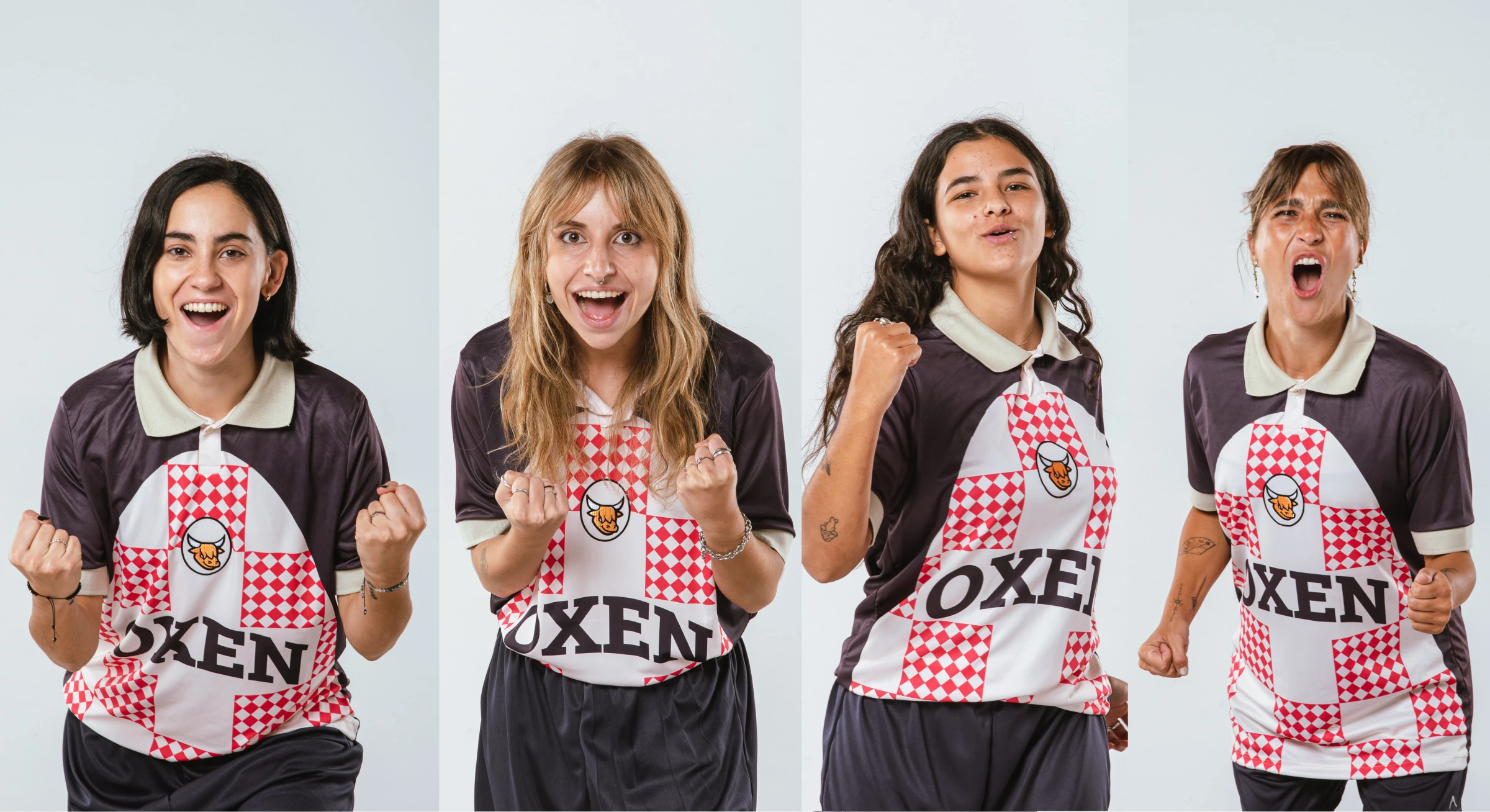 Proyecto 5 - imagen 6